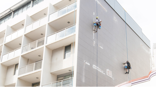 abseiling-painter-sydney