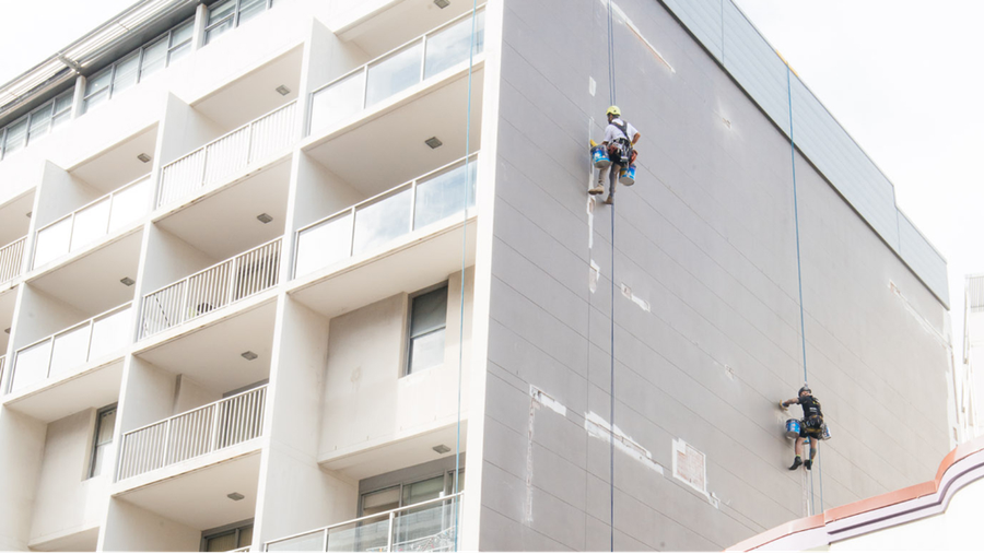 abseiling-painter-sydney