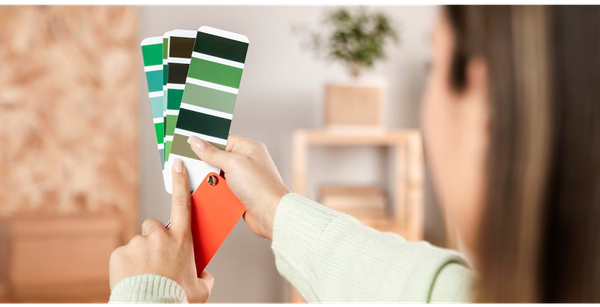 holding colour palettes