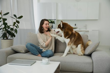 Fun Indoor Activities to Keep Your Pets Entertained During Rainy Days